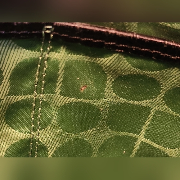 Kate Spade Croc Embossed Leather Shoulder Bag Green Lining EUC - Picture 14 of 16